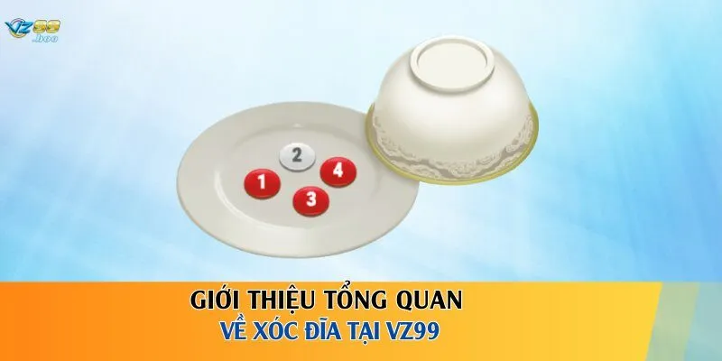 Giới thiệu tổng quan về xóc đĩa tại VZ99 